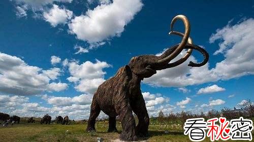 考古发现草原猛犸象起源地是中国