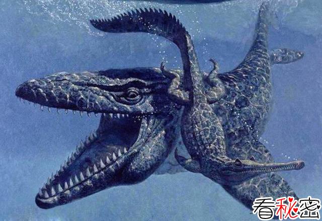 沧龙和巨齿鲨谁才是史前海洋第一霸主