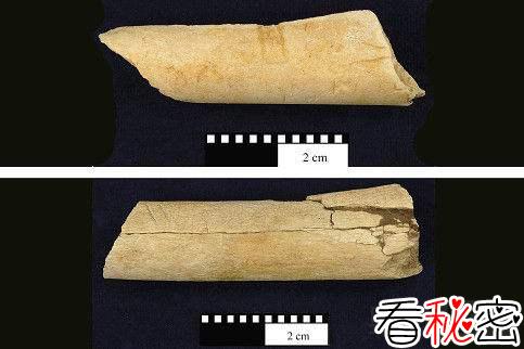 埃塞俄比亚发现340万年前切肉刀