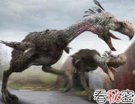可能是人类造成了第四纪生物大灭绝