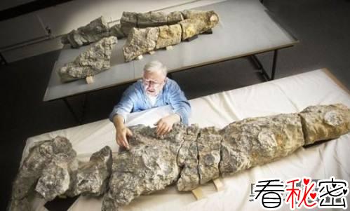 考古发现8500万岁南极蛇颈龙化石