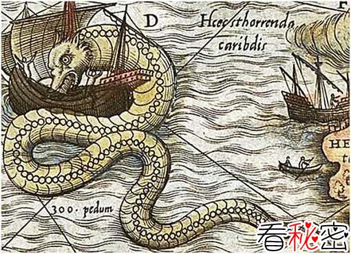 海蛇之谜，巨型海蛇是蛇颈龙吗