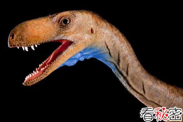 已知最早的恐龙之一