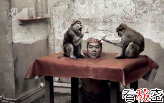 吃人猴之谜，喜欢吃人肉的猴子