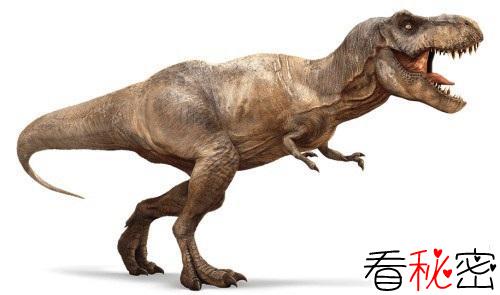 恐龙灭绝的原因之谜