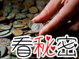 英国寻宝猎人发现5万枚古罗马钱币创纪录