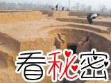 考古发现战国时期的四鼎怪墓