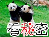 大熊猫未解之谜