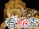 狮虎兽vs虎狮兽谁更厉害