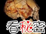 考古发现人类祖先或许为平脸
