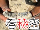 埃塞俄比亚发现最古老人类化石