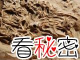 蒙古发现白垩纪巨大安氏原角龙巢穴