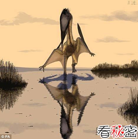 最大的翼龙物种Lacusovagus