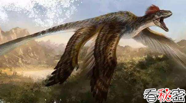 北票龙：长羽毛的恐龙