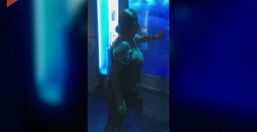 阿嬤吓到失魂！水族馆鲨鱼冲破玻璃 下场却让大家笑翻