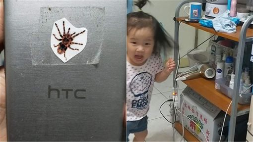 妈帮小孩戒手机！背板贴「蜘蛛照」 女儿反应笑翻网友