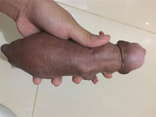 激似「30公分」？连脸书也误会 这张照看出你的邪恶指数