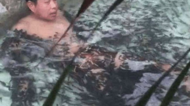 男子泡鱼疗池却小便 鱼群5分钟后翻肚亡