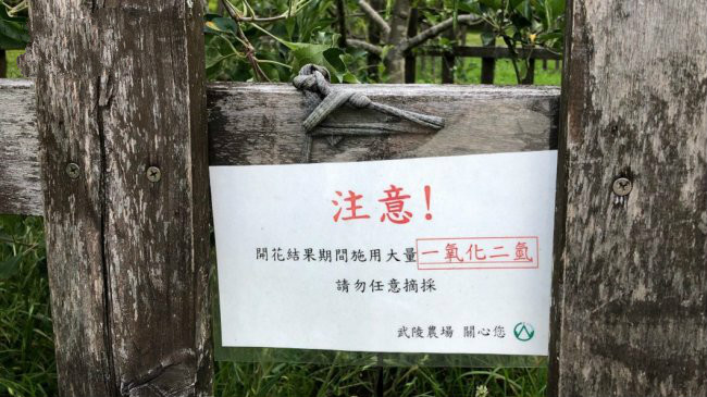 喷洒一氧化二氢！农场「化学式」警告让苹果逃偷摘劫