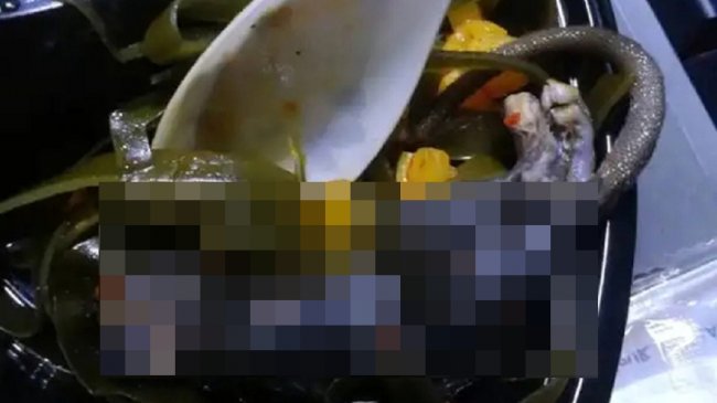 便当海带咬不断 拉出来竟是整只老鼠