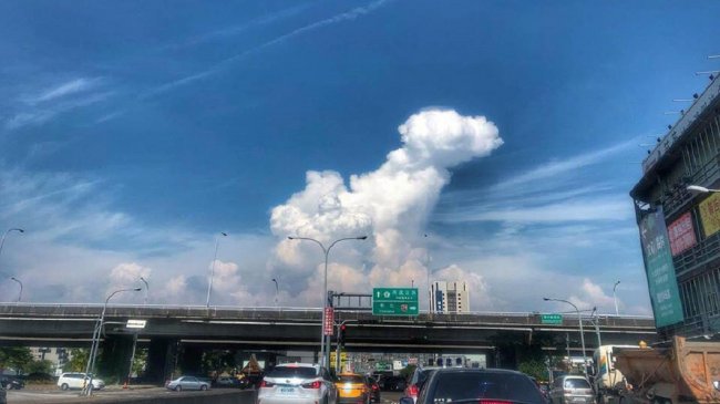 是你吗？晴空惊现「巨汪云」 恰巧她爱犬离世一周年