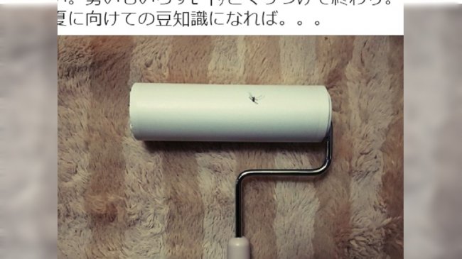 夏季蚊虫恼人！捕蚊妙招「用这根」 日网友惊呼：超实用