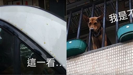 演员车顶「遭尿尿」！凶手探头察看被发现 对方却不断装傻