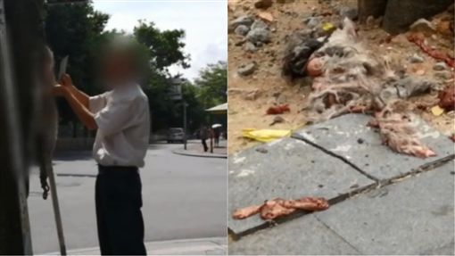 「死猫」吊树头！大叔惊见 竟挥舞菜刀剥皮：要回家煮