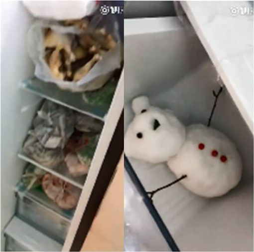 给你看个宝贝！她开冰箱炫耀珍藏雪人 网友笑道：当传家宝啦！