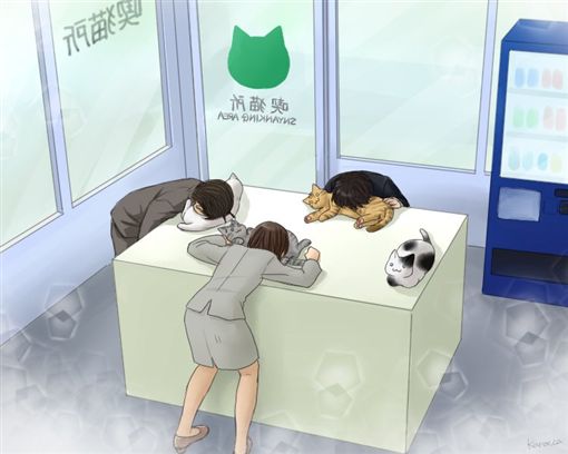 吸烟室落伍啦！「吸猫室」让网友都疯了：这我会出不来啊