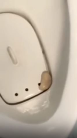 尿到「葫辣」都掉了！小便斗惊见睪丸 网友笑翻：快捡起来冰
