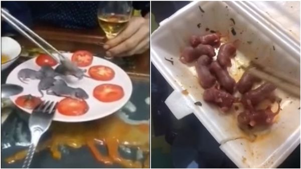 珍饈「三吱儿」超美味？男30秒活吞2只小老鼠点头狂比赞