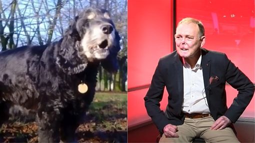 英国男子让爱犬「舔伤口」！染上败血症 导致需截肢、毁容保命