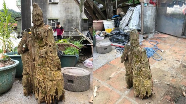 废弃园地发现「白蚁蛀朽木」 定神看大惊：是济公神像