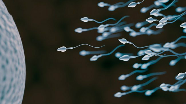 有绿光！健康检查确认「终身无后」 他崩溃：我有9个孩子
