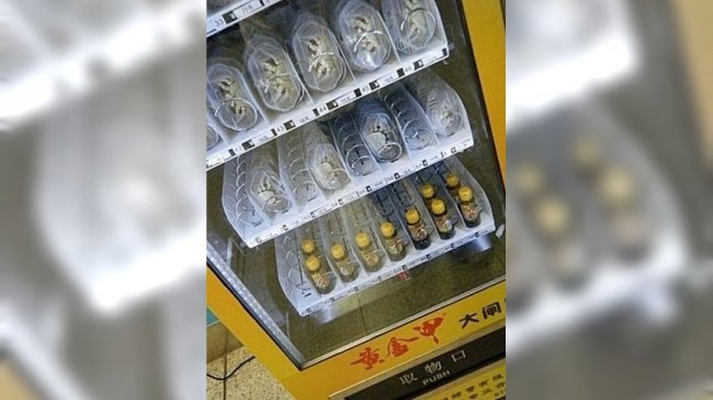 大闸蟹变零食！ 南京商场出现「即食贩蟹机」