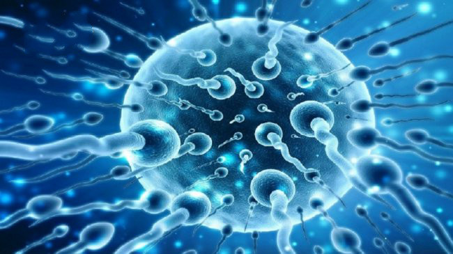 泰公司收购体液做化妆品 身高肤色决定价格