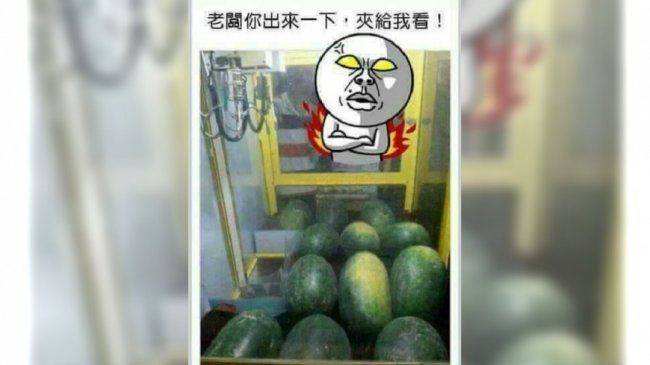 夹娃娃机内放大西瓜 网友笑道：老板夹给我看