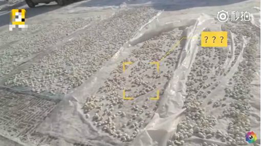 太多饺子冰箱放不下？ 东北店家出奇招直接地上「晒水饺」