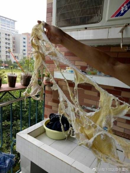 「室友的洗脸帕」破的太狂！ 网友笑翻：大学被你过成贫民窟了