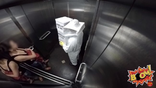 养蜂人打翻蜜蜂盒子 乘客崩溃大叫爬出电梯