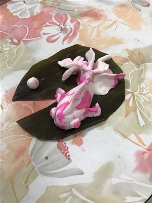 每年冬至吃汤圆太无趣 美术系毕业的姊姊竟搓出绝美角金鱼