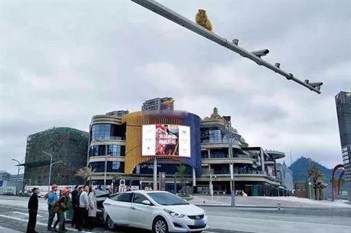 鬼遮眼？只有她看到「红灯」 急刹车被撞 驾驶员下车傻眼了