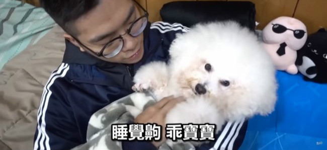 饲主爱狗成痴 把毛小孩当「小孩」哄入睡
