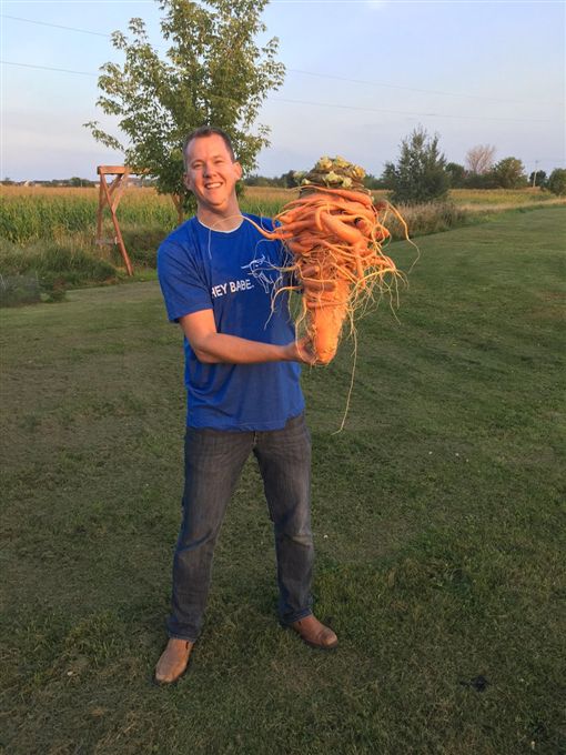 比人头还大！美国男子种出「巨型胡萝卜」 重达10公斤破纪录