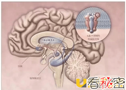 科学家再次为尼古丁洗冤 原来尼古丁并不是烟瘾的罪魁祸首!