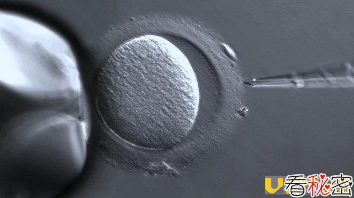科学家编辑胚胎 让人类也能被设计