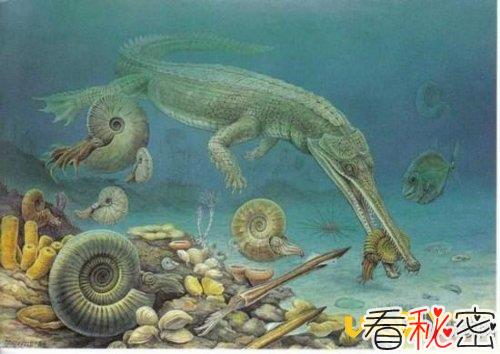 走进地质，畅游古生物世界:了解远古生物大灭绝