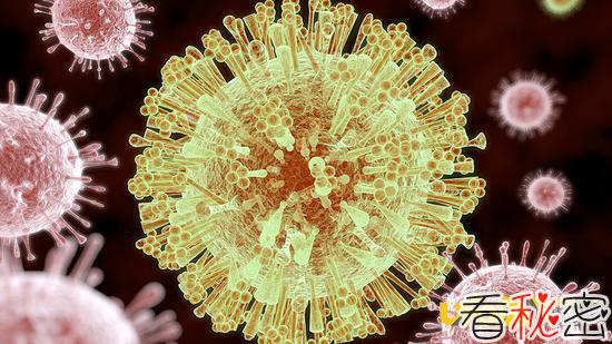 寨卡病毒是什么?寨卡病毒致病机理新发现