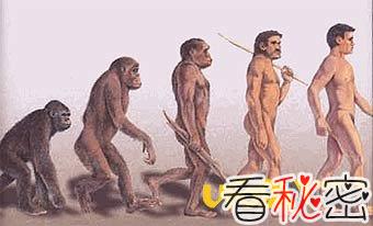 杂交促成了人类进化